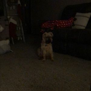 Meet your Posher, Charles